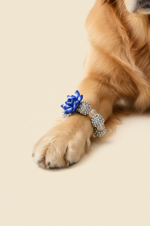 Silver beaded bracelet with a blue flower on a beige background